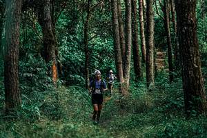 BIB: 
                            <button type="button" onclick="openModal(25236005)" class="btn btn-primary btn-sm float-right btn-popup" data-toggle="modal" data-target=".modal-high-quality">
                        <i class="fas fa-shopping-cart"></i> Add to Cart
                    </button>
                                            <button type="button" onclick="isThisMe(25236005, true)" class="btn btn-success btn-sm float-right btn-popup btn-isme hidden" data-toggle="tooltip" data-placement="bottom" title="นี่คือรูปของคุณใช่ไหม คลิกที่นี่เพื่อเอาเข้าอัลบั้ม">
                        <i class="fas fa-plus"></i> Add to album
                    </button>
                    <button type="button" onclick="isThisMe(25236005, false)" class="btn btn-warning btn-sm float-right btn-popup btn-isnotme hidden">
                        <i class="fas fa-ban"></i> Remove from album
                    </button>